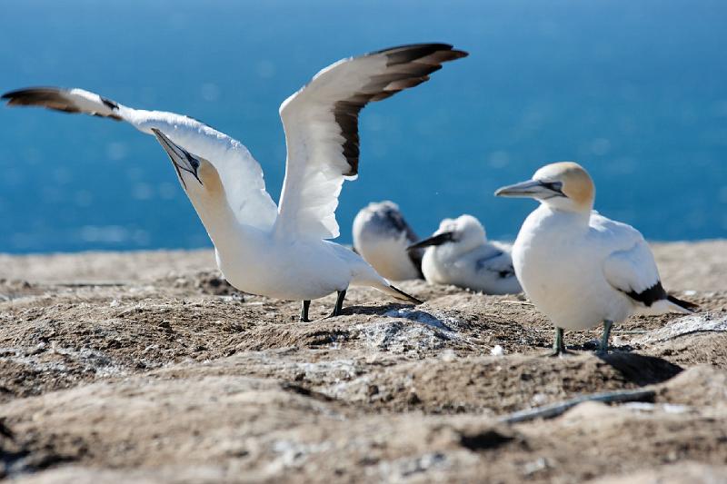 2007 04 14 065_DXO.jpg